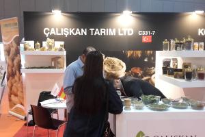 Galeri Kategori