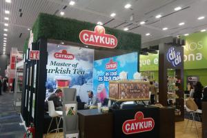Galeri Kategori